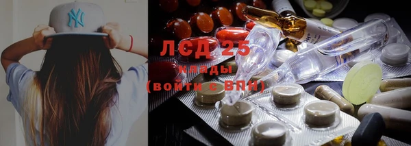 молекула духа Алексеевка