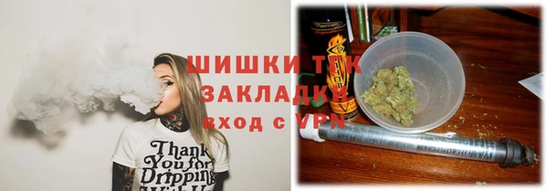дмт Алексин